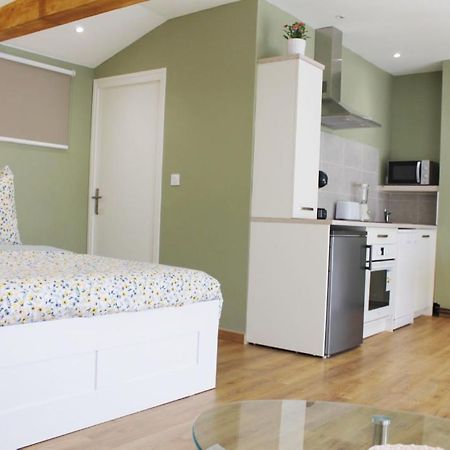Saint Etienne : appartement Châteaucreux 40 M2 Exterior foto