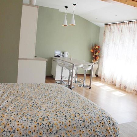Saint Etienne : appartement Châteaucreux 40 M2 Exterior foto