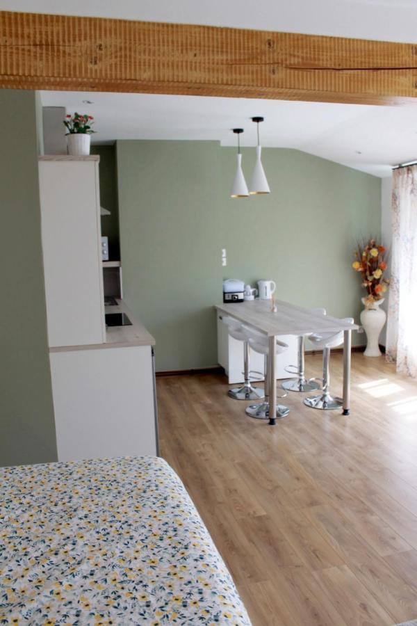 Saint Etienne : appartement Châteaucreux 40 M2 Exterior foto