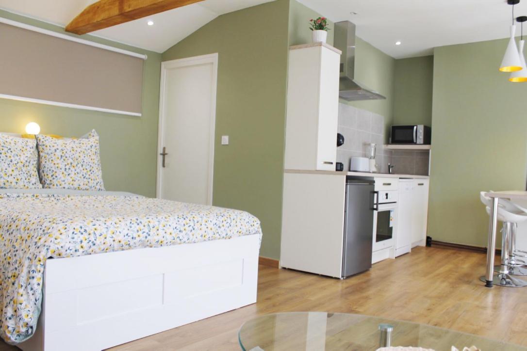 Saint Etienne : appartement Châteaucreux 40 M2 Exterior foto