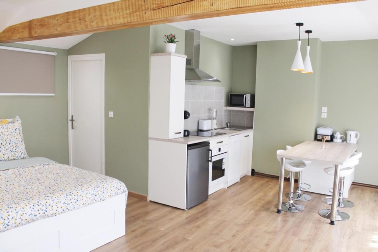 Saint Etienne : appartement Châteaucreux 40 M2 Exterior foto