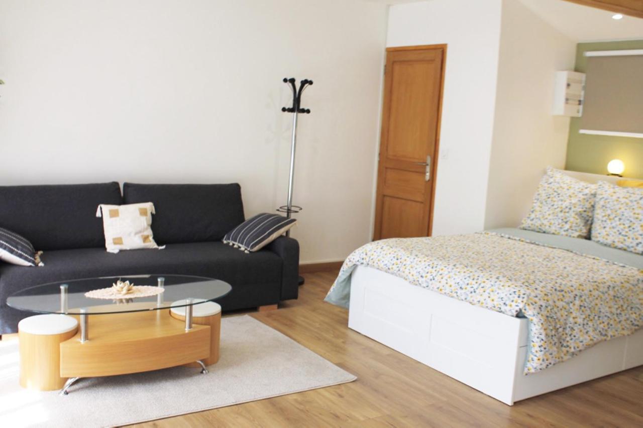Saint Etienne : appartement Châteaucreux 40 M2 Exterior foto