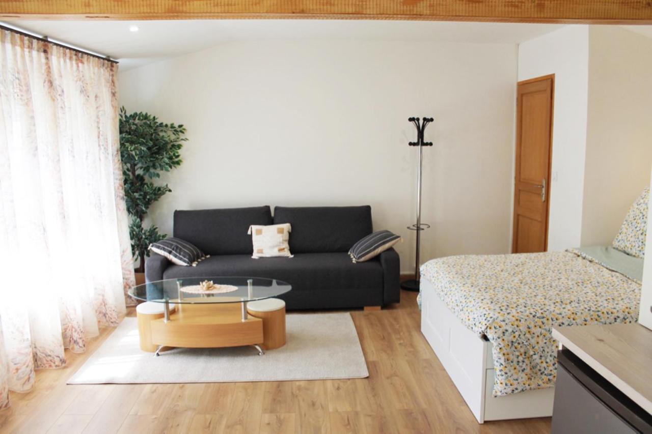Saint Etienne : appartement Châteaucreux 40 M2 Exterior foto